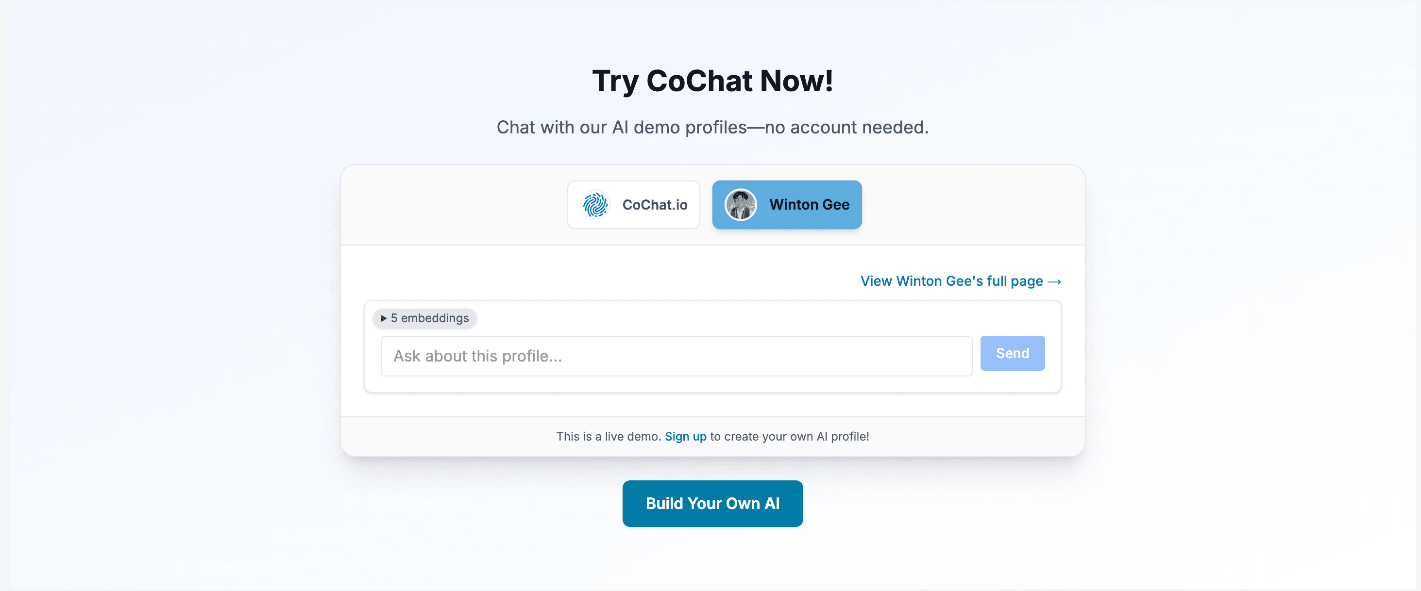 CoChat Demo Interface
